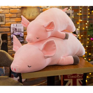 GẤU BÔNG HEO LƯỜI NẰM NGỦ (40CM--->1M)