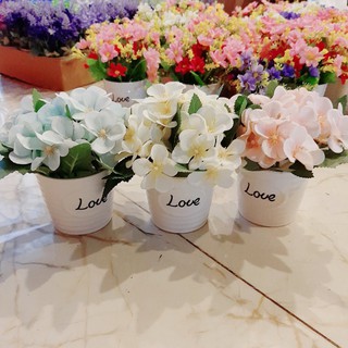 Chậu hoa tú cầu nhỏ để bàn (chậu sứ chữ love)