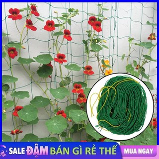Lưới Làm Giàn, Trồng Cây Khổ 2M*2M5 Dây Leo, Sợi Xanh Bền