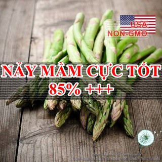 30h Hạt Giống Rau Măng Tây Washington (A1.300A| Y35*X51)