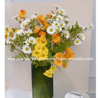 Cụm Cành 15 Bông Hoa Cúc Tana Lụa Merber (Mơ &amp; Bơ) Nhiều Màu Dài 60cm - Bông Khô Hoa Giả Decor Trang Trí Nhà, Để Bàn