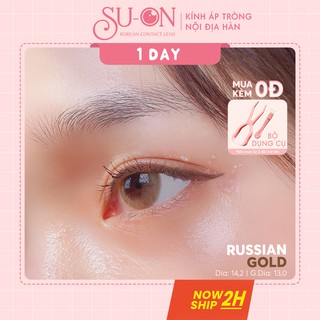 [Video thật] Lens 1 ngày Olens RUSSIAN GOLD áp tròng 14,2mm, nâu tây sáng Hàn Quốc, siêu êm đeo 24h