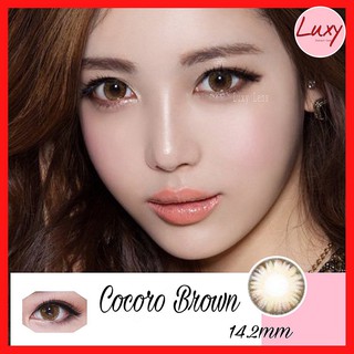 [ Chính Hãng ] Lens Cocoro Brown 14.2mm 0 diop Nhập Khẩu Hàn Quốc - Luxy Lens