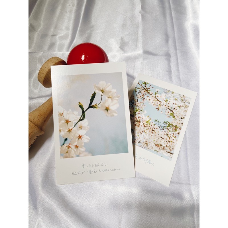 Postcard 🅂🄰🄺🅄🅁🄰🌸 (part 2)