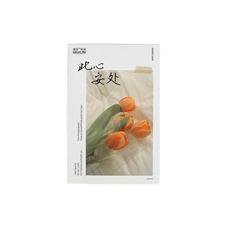 Bộ 30 ảnh bưu thiếp hoa Tulip vàng thanh nhã M632
