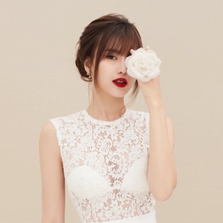 Hoa hồng pháp cài áo Lane Jt thiết kế cao cấp