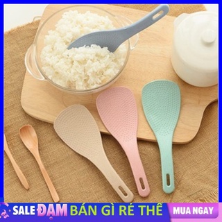 Vá thìa múc cơm nhựa lúa mạch chống dính an toàn sử dụng