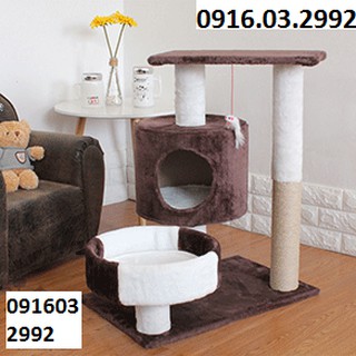 Trụ cào móng cho mèo - Nhà cây mèo
