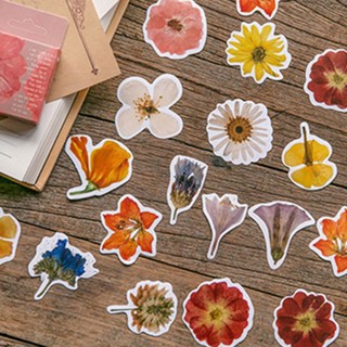 Bộ 45 sticker Flowers - Hoa đồng nội mẫu số 2