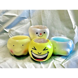 Set 2 Chậu Trồng Cây Trang Trí Mini Ngẫu Nhiên
