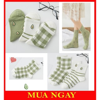 Set 3 đôi vớ tất nữ hình trái bơ xanh ngọt ngào TN95