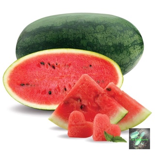 [Seeds] Hạt giống dưa hấu đỏ, đóng gói 0.5gr, cực dễ trồng