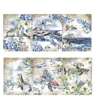 (Chiết theo chu kỳ) Băng dính washi tape hoạ tiết vintage #14