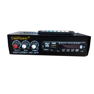 Amply DC 12V có USB / Bluetooth / Thẻ SD / FM CaliFlower