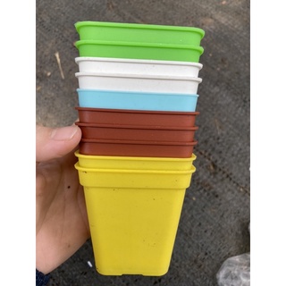 chậu nhựa 7cm trồng sen đá xương rồng