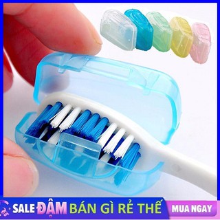 Combo 5 Nút bịt đầu bàn chải du lịch tiện dụng