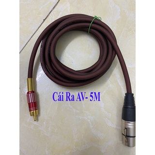 [Mã ELHACE giảm 4% đơn 300K] Dây Canon Cái ra AV cao cấp dài 5m