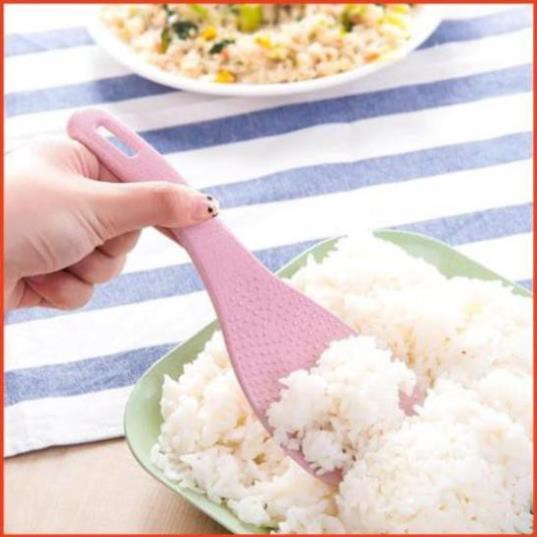 Thìa xới cơm lúa mạch - Muôi cơm lúa mạch