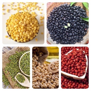 CÁC LOẠI ĐẬU ĐEN , ĐẬU XANH, ĐẬU PHỘNG , MÈ TRẮNG , MÈ ĐEN , ĐẬU NÀNH 500g