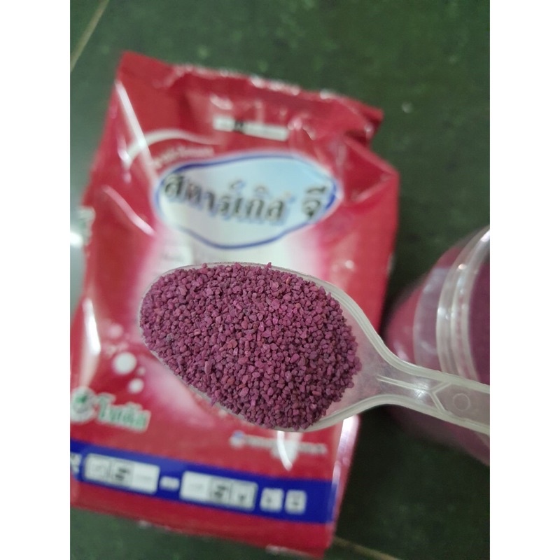 Thuốc tím trị rệp Thái Lan