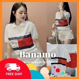 Áo polo nam nữ Tommy áo phông cổ bẻ chất cá sấu mềm mát thời trang Banamo Fashion polo unisex Tommy 3925