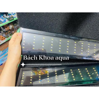 Quanlong Siêu Sáng Đổi Màu 5 Hàng ( Ánh sáng hồng)