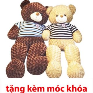 Gấu bông teddy lông xoắn hoa hồng khổ 1m4