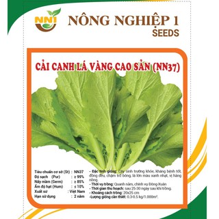Hạt Giống Cải Canh Lá Vàng Cao Sản 20gr - Học Viện Nông Nghiệp Việt Nam