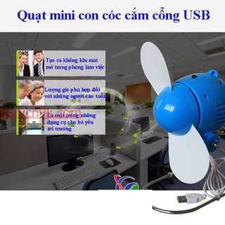 Quạt mini USB con cóc siêu mát