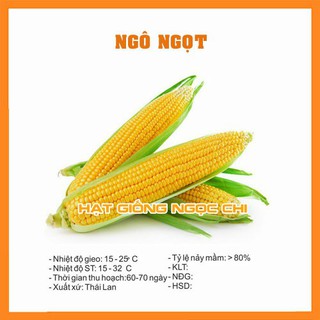 Hạt Giống Ngô Ngọt (Bắp) - 15 Hạt
