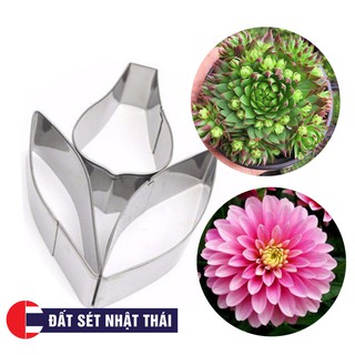 KHUÔN CẮT LÀM HOA SEN ĐÁ, THƯỢC DƯỢC - DẠY LÀM HOA ĐẤT SÉT, HOA ĐƯỜNG, XÔI HOA ĐẬU