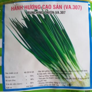 Hành hương cao sản