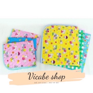 Chiếu nhựa chống thấm Đài Loan miếng lót thay đồ cho bé kích thước 50x65cm