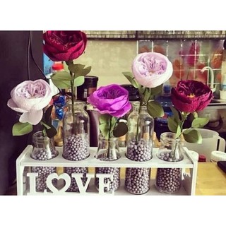 Set 5 Bình Hoa Thủy Tinh Kèm Khung Gỗ LOVE - HOME