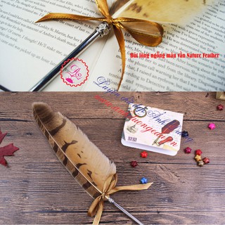 Bút Lông Bút mài Ánh Dương Nature Feather lông ngỗng màu vằn chuyên viết chữ calligraphy