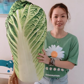 Gối ôm 3D in hình Bắp cải chuẩn đẹp