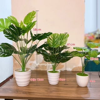 Cây lá rùa giả decor 2 size 58cm và 33cm bằng nhựa dùng trang trí decor rất đẹp