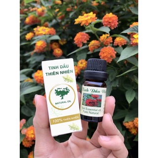 Tinh Dầu Thiên Nhiên đủ mùi, Nguyên Chất Tự Nhiên Lọ 10ml giúp đuổi muỗi thơm phòng