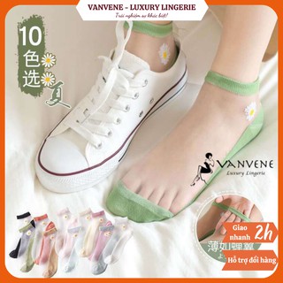 Tất / Vớ Nữ Cổ Ngắn Hoa Cúc Hot Trend PK350