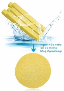 Bông mút rửa mặt,bông mut nở Chivey Japan  dùng Spa, Thẩm Mỹ Viện tẩy trang tại nhà (12 miếng / bộ)