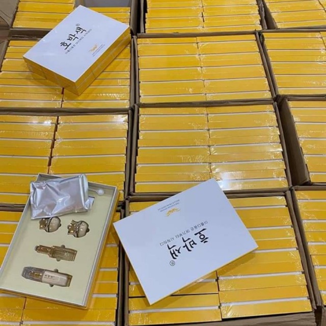 Mầm phôi thai tái sinh (mẫu mới 2024)