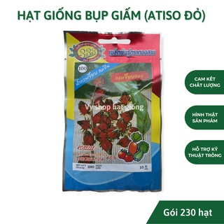 Hạt giống bụp giấm - atiso đỏ Thái Lan