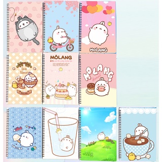Sổ lò xo molang SLI11 60 trang 17x25cm