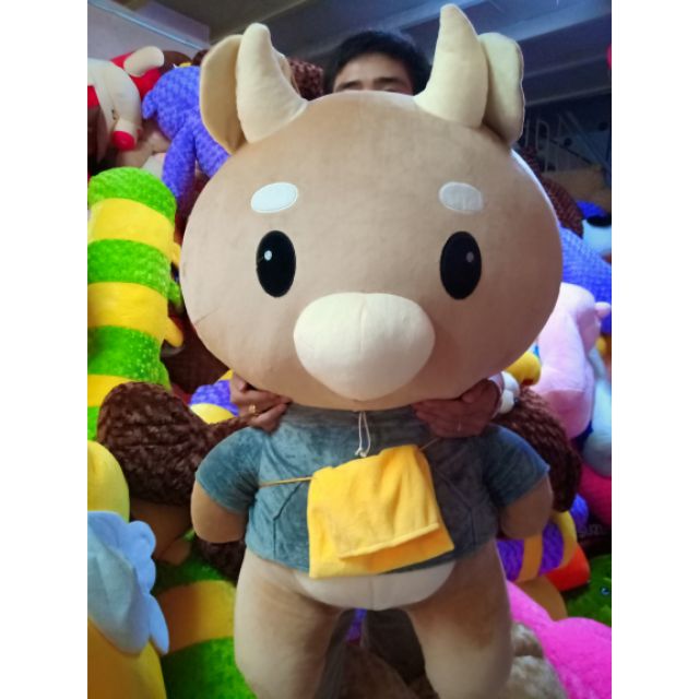 BÒ CHĂM CHỈ SIÊU TO 1M GẤU BÔNG BÒ CHĂM CHỈ (ẢNH + VIDEO THẬT 100%)
