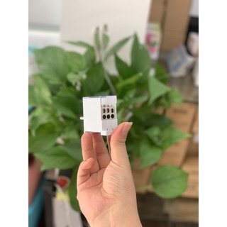 Cầu Đấu Chia Dây Điện Aptomat FG6
