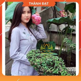 Đồ lam đi chùa - BỘ Bài Lai Tim Vải Kate Cotton Mịn Dày Dặn Thoáng Mát Bộ đồ Phật tử đi lễ kín đáo