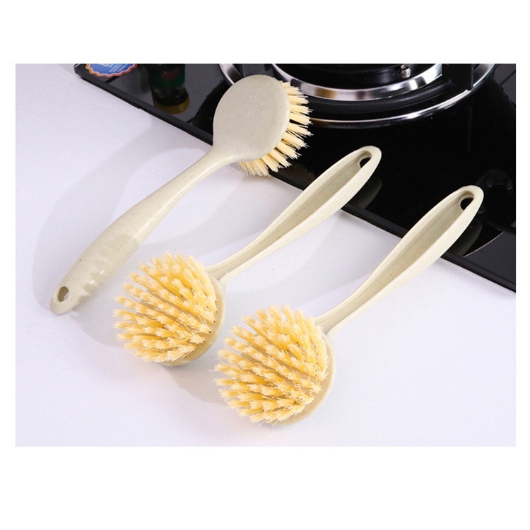 CÂY RỬA CHÉN LÚA MẠCH