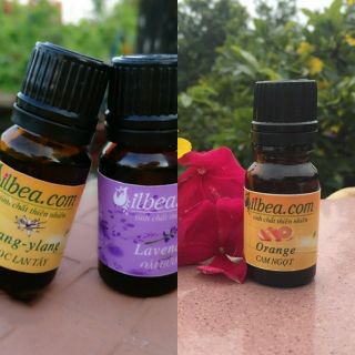 Combo 8 lọ tinh dầu thiên nhiên 10ml