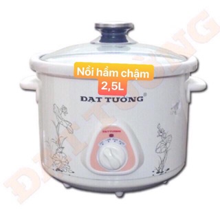 ❄️Nồi kho cá, nấu cháo Đạt Tường 2,5 lít