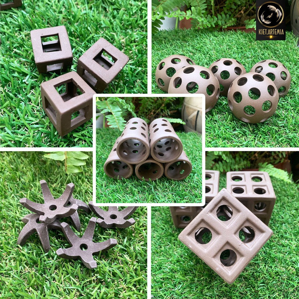 Đồ chơi tép cảnh